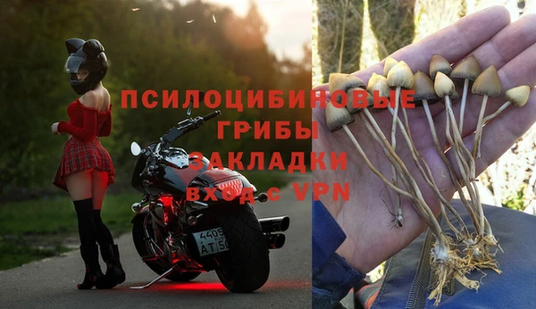 кокаин перу Каменногорск